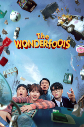 دانلود سریال احمق های شگفت انگیز The WONDERfools 2026