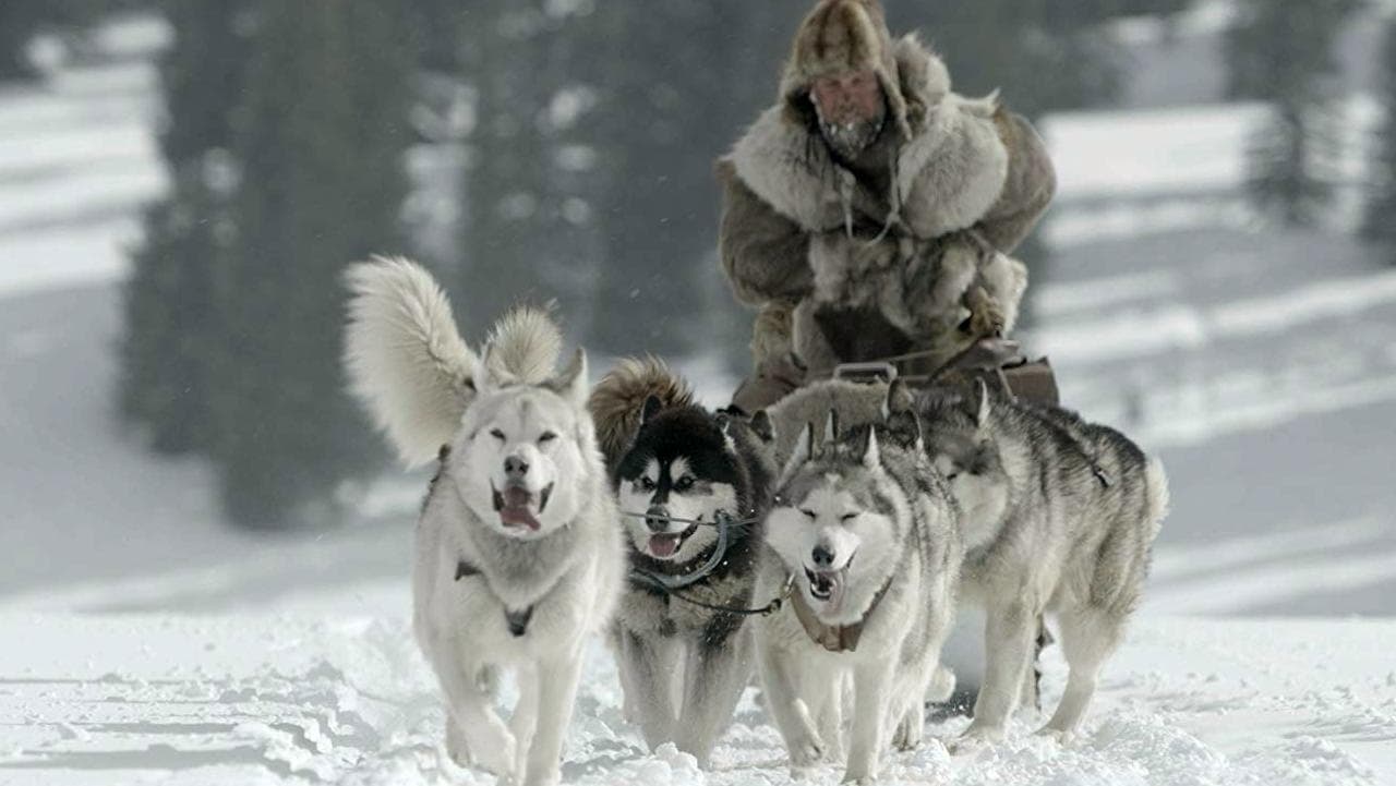 دانلود فیلم مسابقه‌ی بزرگ آلاسکا The Great Alaskan Race 2019